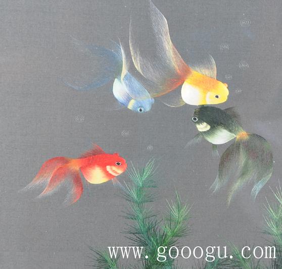 金魚自由自在的游動(dòng)、展現(xiàn)出形態(tài)優(yōu)美的舞姿！